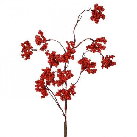 Wild Forest Berry Spray