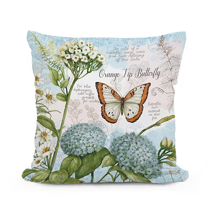 Butterfly Study Pillow