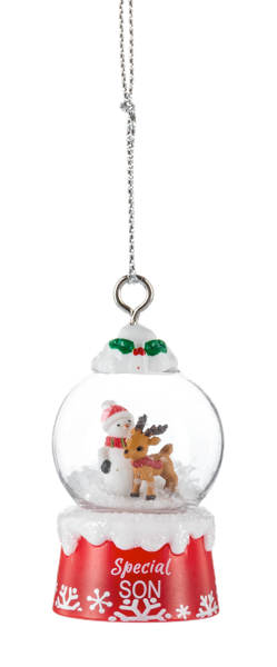 Special Son Snow Globe Ornament