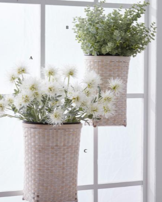 Green Eva Leaves Eucalyptus Bush W/Seed Pods - 23"