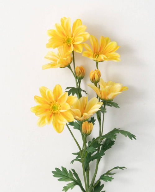 Bright Yellow Gazania Stem- 30"