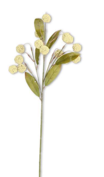 CREAM BILLY BUTTON SPRAY- 30"