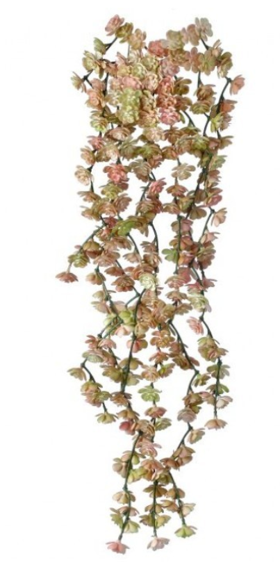 Fresh Touch Fountain Succulent Vine - 4 Colors