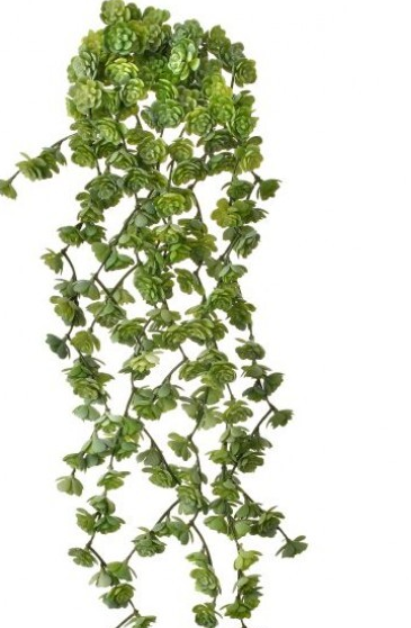 Fresh Touch Fountain Succulent Vine - 4 Colors