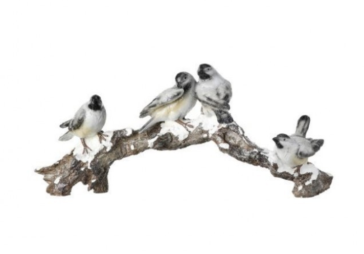 Winter Bird Family on Frosted Branch