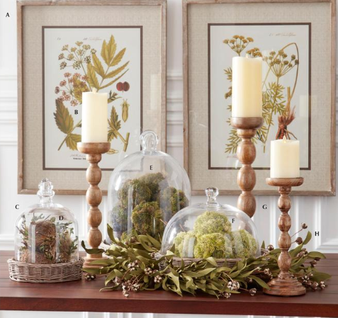 Glass Cloches with Wicker Trays