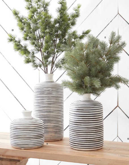 Soft Green Pine Stem