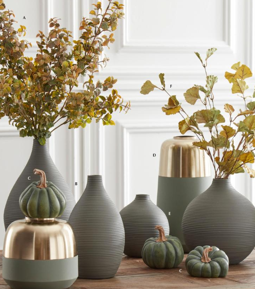 Green and Yellow Gingko Leaf Stem