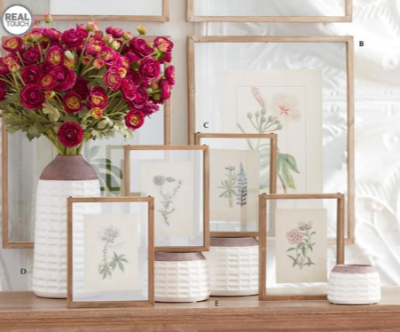Botanical Prints in Shadow Box Wood Frames
