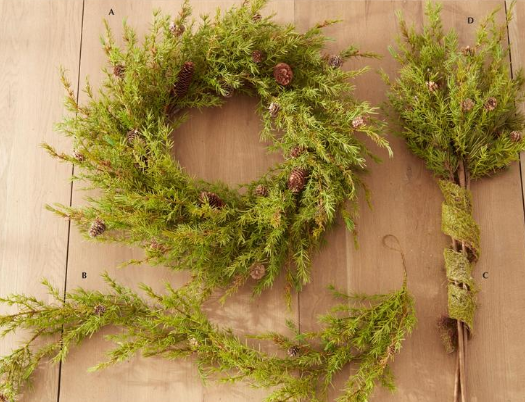 Pine Stem with Large & Small Pinecones