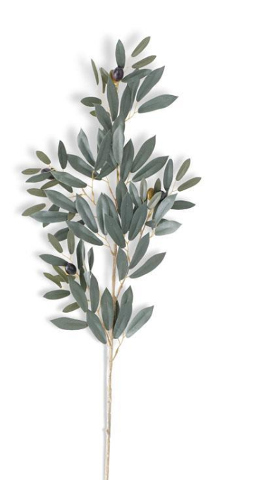 Olive Leaf Spray