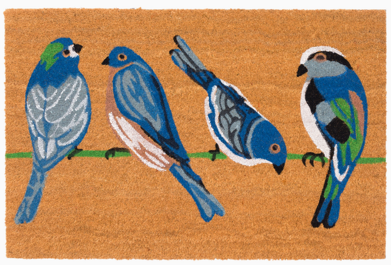 Blue Birds Outdoor Mat