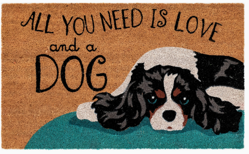 Love and A Dog Outdoor Mat