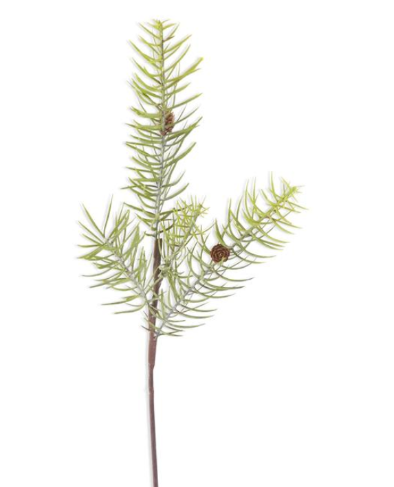 Powdered Long Pine Stem w/Mini Pinecones - 28"