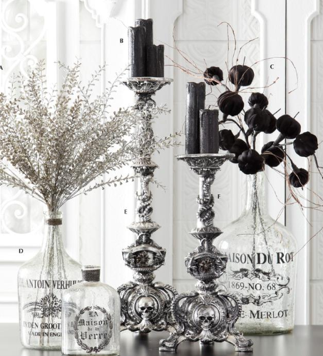 Black Velvet Pumpkin Stem