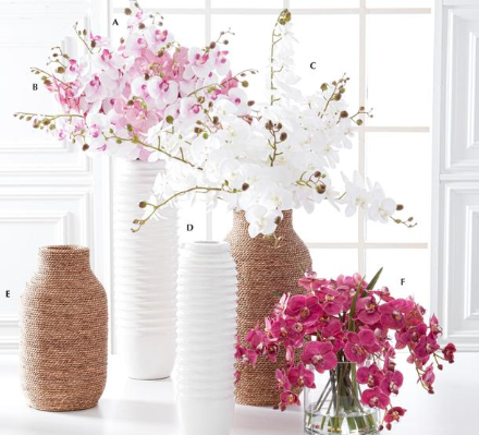 White & Purple Orchid Stem