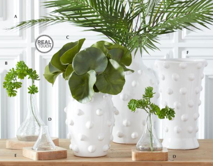 Bud Vases on Wood Trays Set of 2