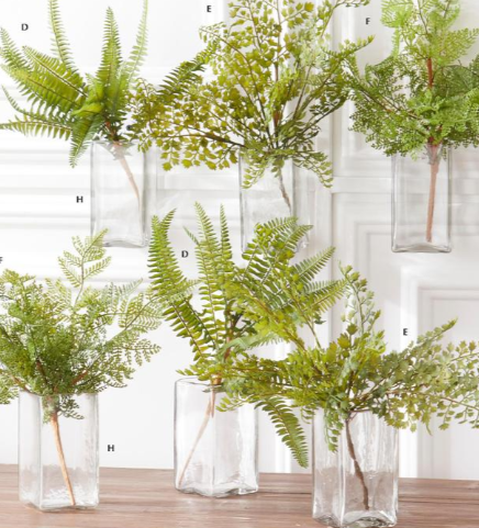 Curly Aspidiaceae Fern Spray Stem