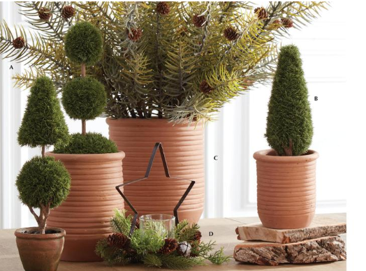 Powdered Long Pine Stem w/Mini Pinecones - 28"