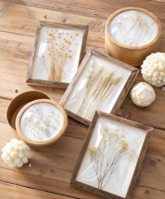 Dome Front Dried Floral Wall Art