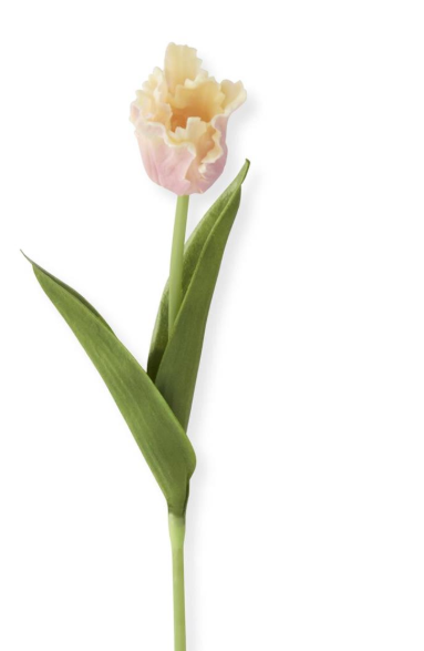 Real Touch Parrot Tulips - 7 Colors