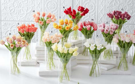 Real Touch Parrot Tulips - 7 Colors