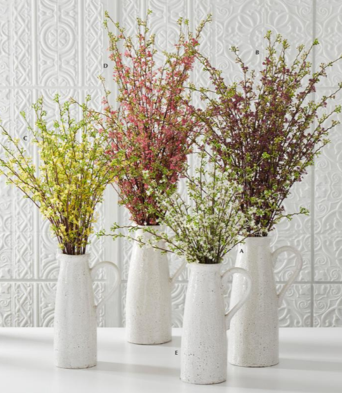 Purple Hoary Willow Spray