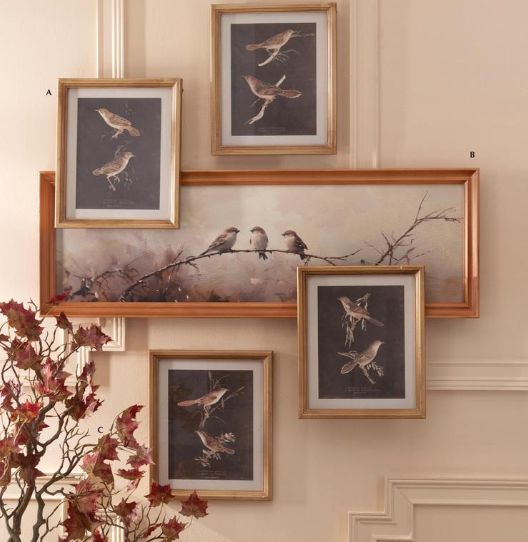 Wood Framed Bird Print