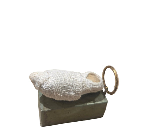 Decorative shell on a green stone base with a gold ring