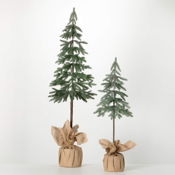 Pine Trees Set - 3', 5'