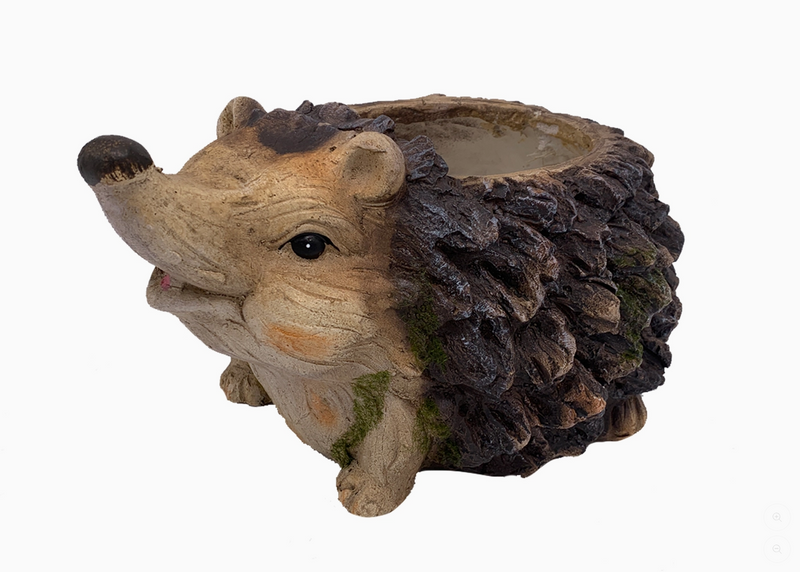 Hedgehog-shaped planter with a white background