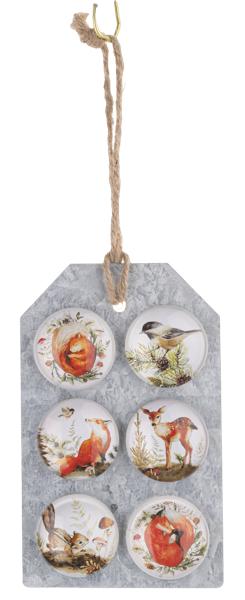 Woodland Animal Magnet Set