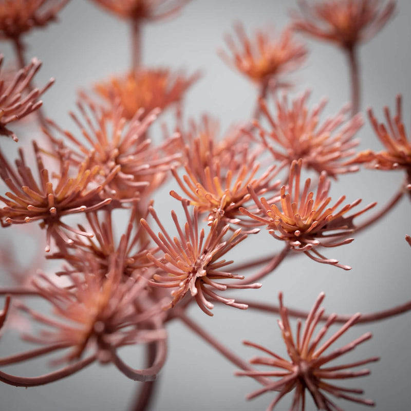 PINK QUEEN ANNE LACE STEM - 29"