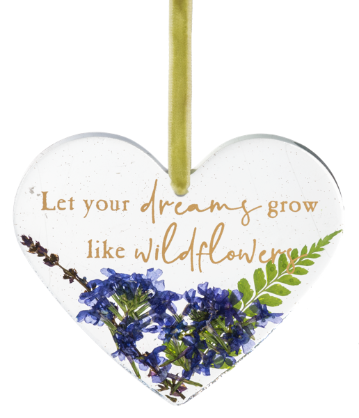 Let Your Dreams Grow Like Wildflowers