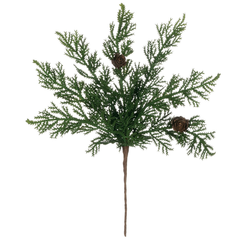 Cypress And Pine Cone Pick