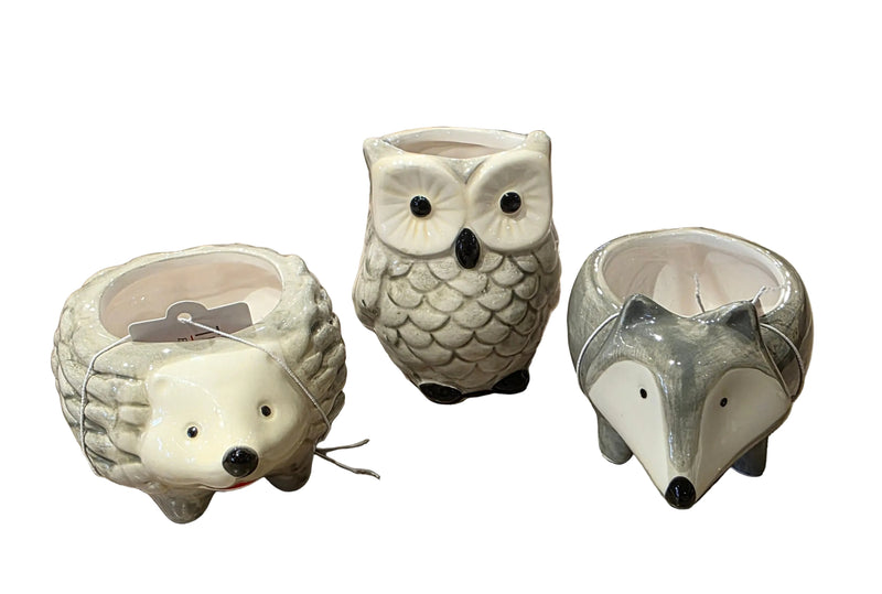 Woodland Creature Succulent Planters - 4 Options