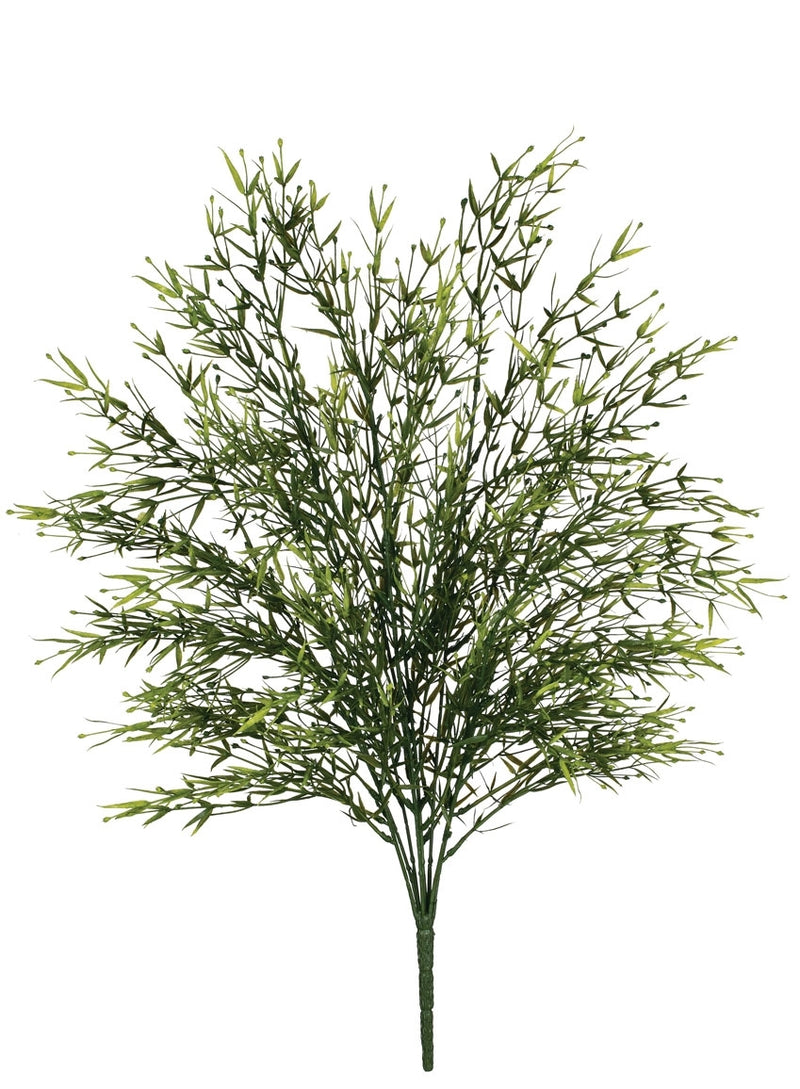 Tarragon Bush