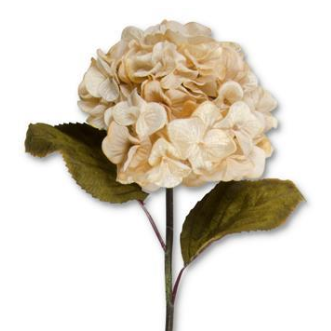 Hydrangea Two Leaf Stem- 3 Colors