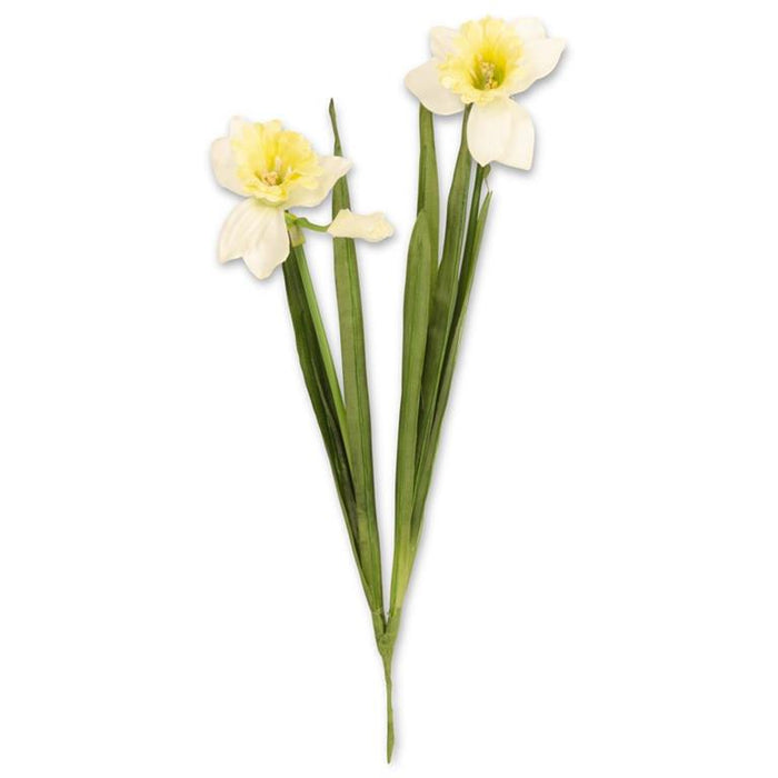 White Real Touch Daffodil with Double Bloom