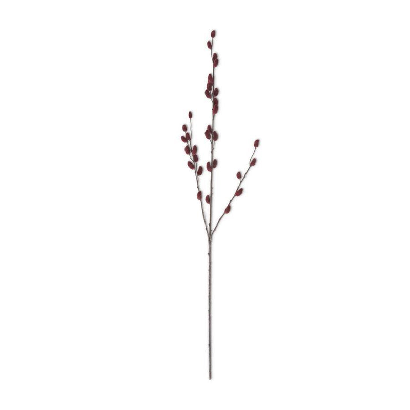 Burgundy Pussy Willow Stem
