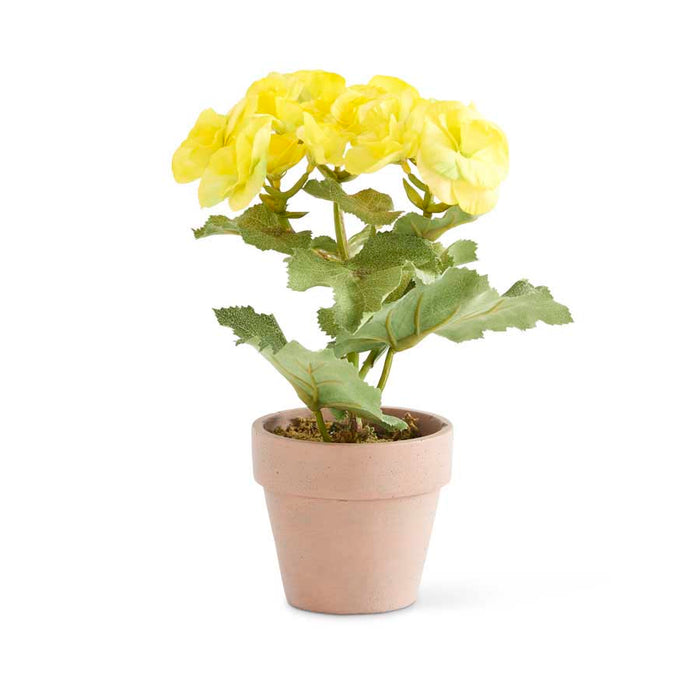 Yellow Potted Begonia - 8.5"H