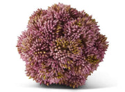 Purple flower ball on a white background