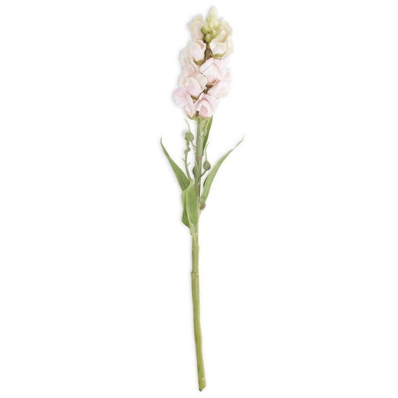 Pink Stock Flower Stem