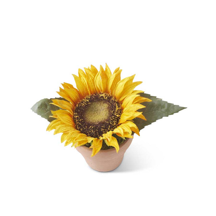 Orange Potted Sunflower