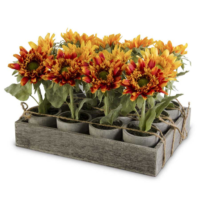 Potted Sunflowers - 3 Styles