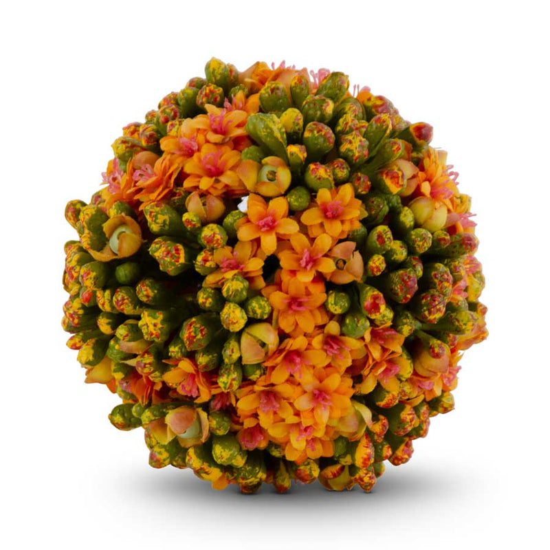 4 Inch Kalanchoe Ball - 3 Colors