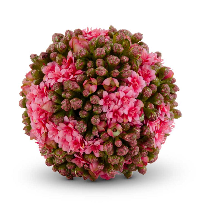 4 Inch Kalanchoe Ball - 3 Colors