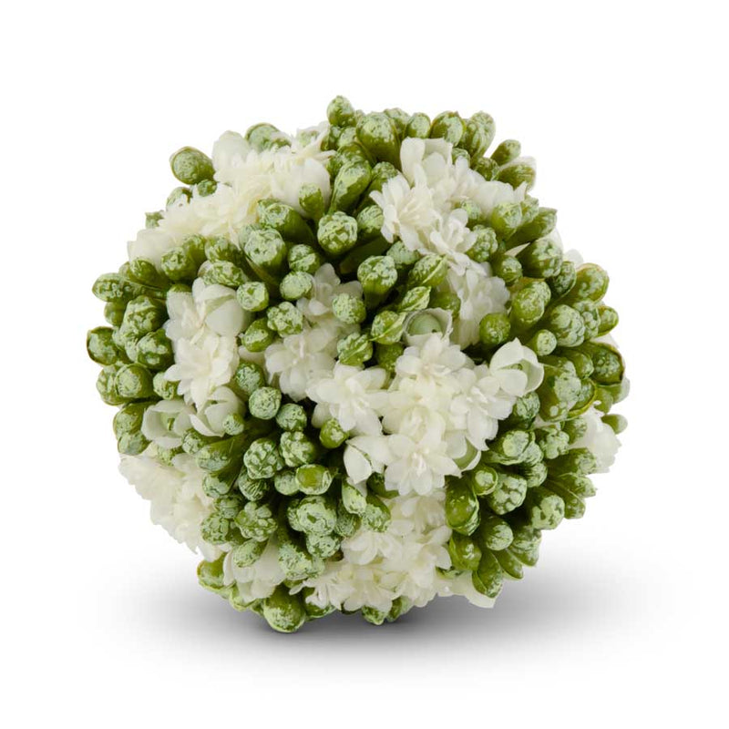 4 Inch Kalanchoe Ball - 3 Colors