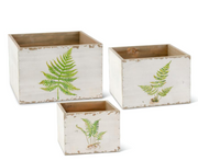 Three wooden planters with fern designs on a white background