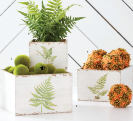 White Wood Nesting Boxes with Fern Design - Set of 3